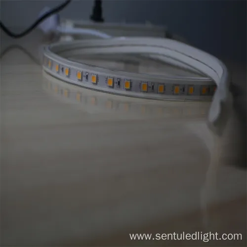 High Voltage 5050 LED LED Strip 220V